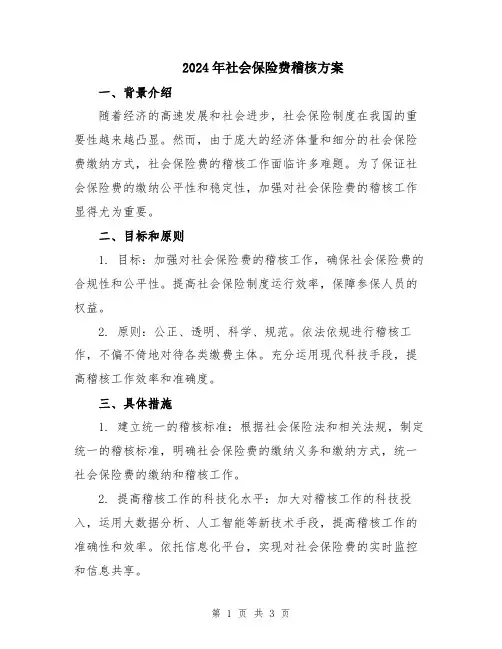 2024年社会保险费稽核方案