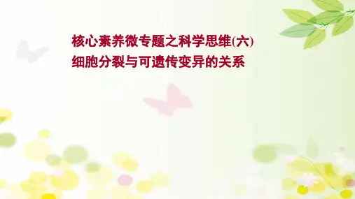 高中生物高考一轮复习人教版 核心素养微专题之科学思维(六)细胞分裂与可遗传变异的关系 课件(43张)