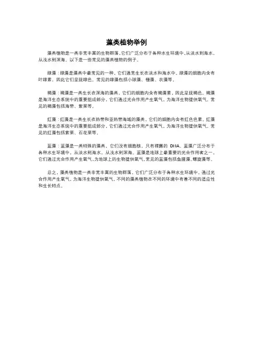 藻类植物举例