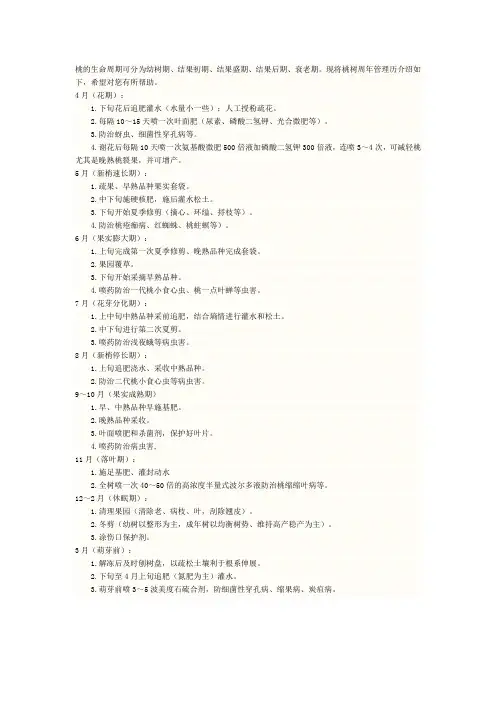 桃的生命周期