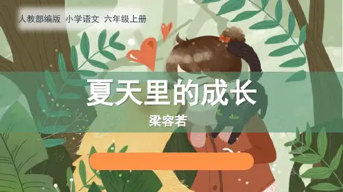 《夏天里的成长》语文教学PPT课件(6篇)
