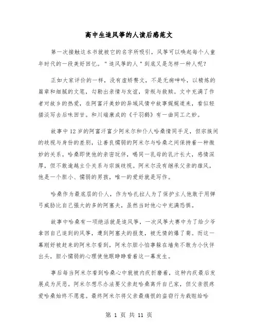 高中生追风筝的人读后感范文(6篇)
