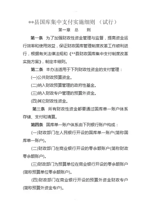 国库集中支付实施细则