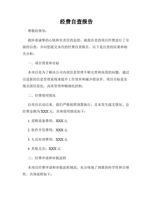 经费自查报告