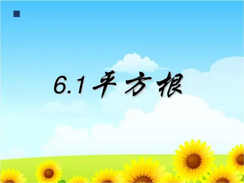 6.1平方根优质公开课课件 (1)