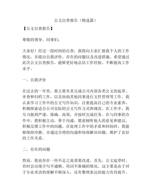 公文自查报告(精选篇)