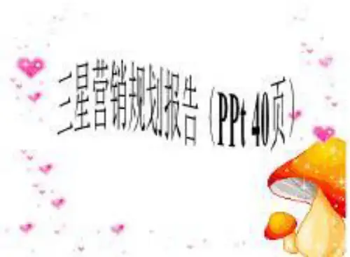 三星营销规划报告(PPt 40页)