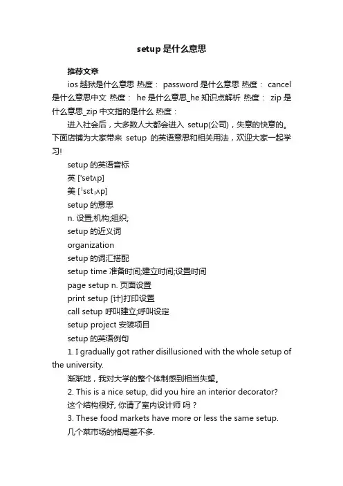 setup是什么意思