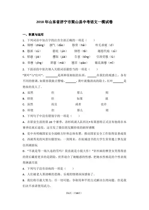 2018年山东省济宁市梁山县中考语文一模试卷
