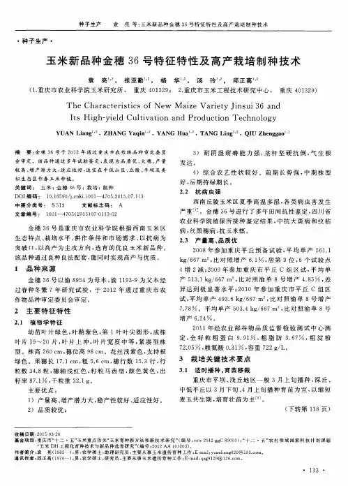 玉米新品种金穗36号特征特性及高产栽培制种技术