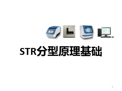STR分型原理基础PPT医学课件