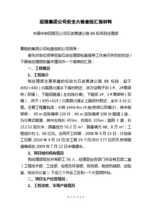 迎接集团公司检查汇报材料(下半年)