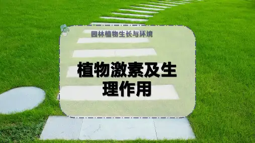植物激素及生理作用