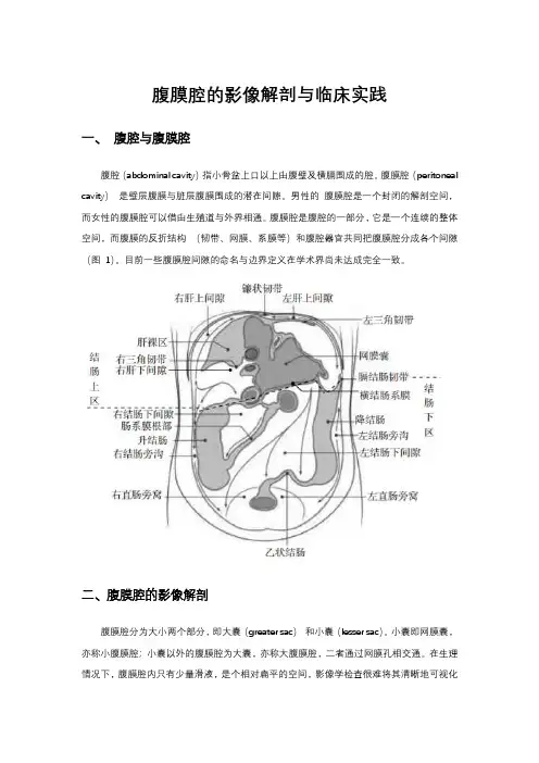 腹膜腔的影像解剖与临床实践