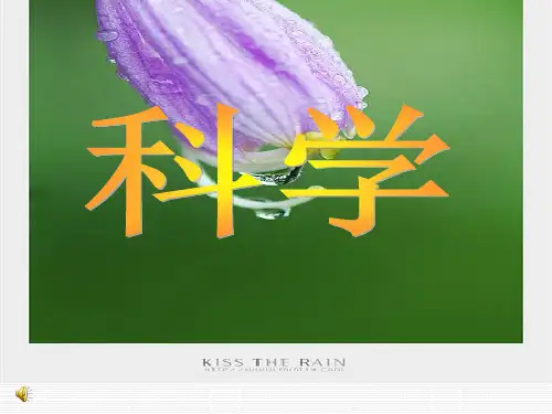 小学科学三年级上册《水和食用油的比较》课件PPT模板