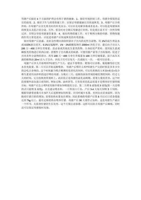 母猪的产后护理