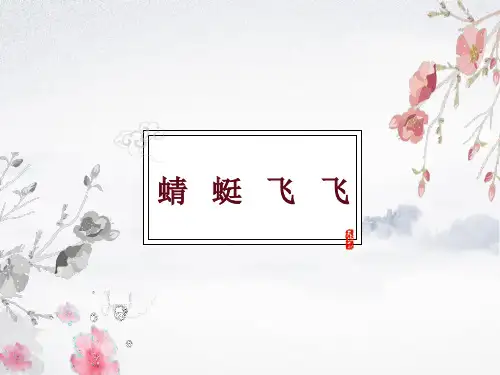 人教版二年级上册美术《蜻蜓飞飞》课件PPT模板