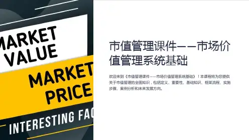 《市值管理课件-市场价值管理系统基础》