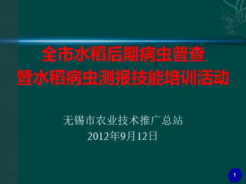 飞虱识别