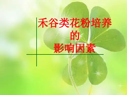 禾谷类花粉组培综述