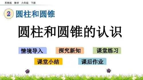苏教版六年级数学下册课件2.1 圆柱和圆锥的认识课件PPT