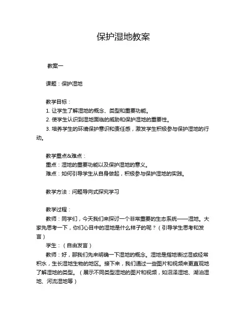 保护湿地教案