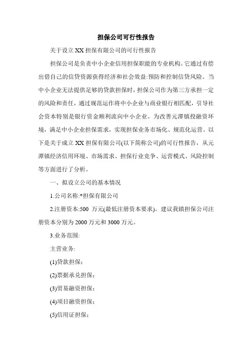 最新担保公司可行性报告