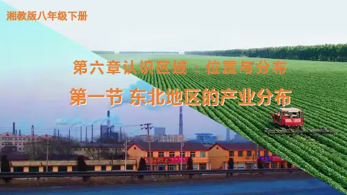 《东北地区的产业分布》课件 湘教版地理