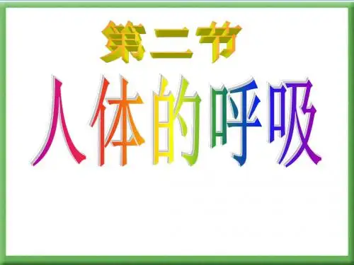 人体的呼吸--PPT课件