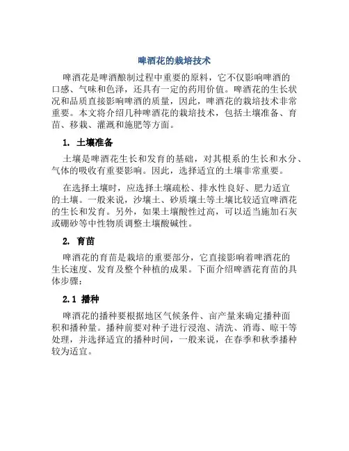 啤酒花的栽培技术