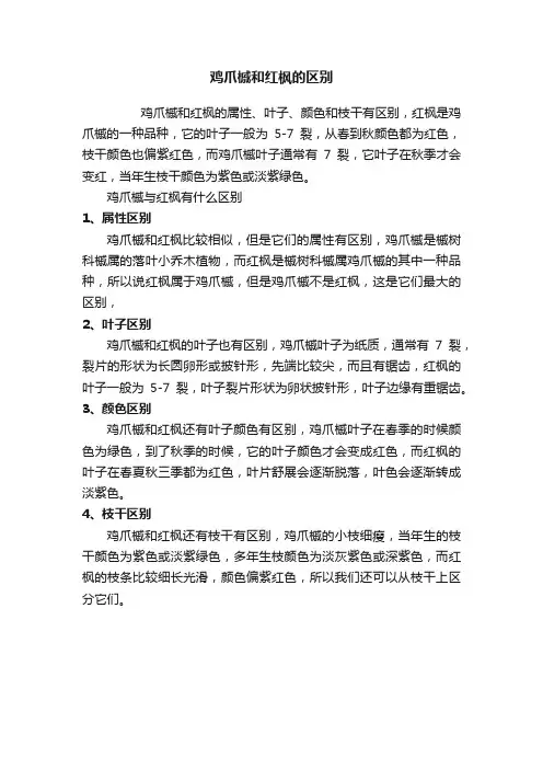 鸡爪槭和红枫的区别