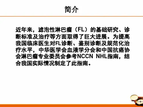 FL指南final精选课件