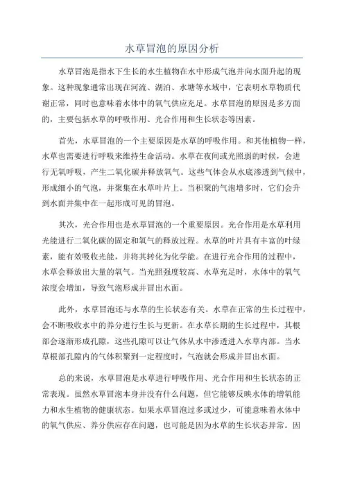 水草冒泡的原因分析