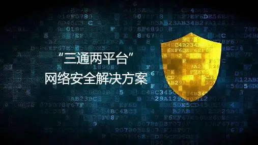 教育“三通两平台”网络安全解决方案