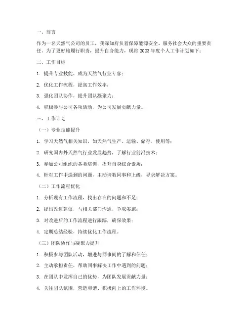天然气公司个人工作计划