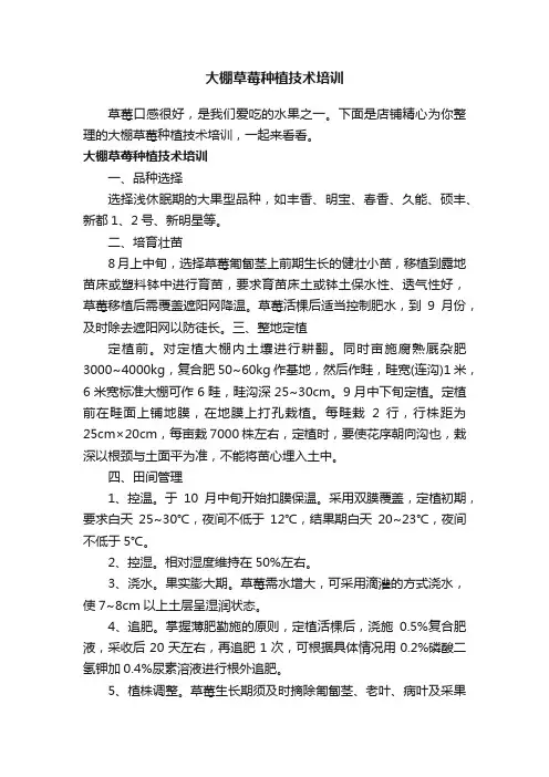 大棚草莓种植技术培训