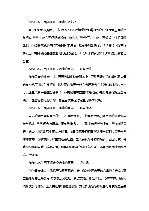 狗狗不吃东西还呕吐没精神怎么办