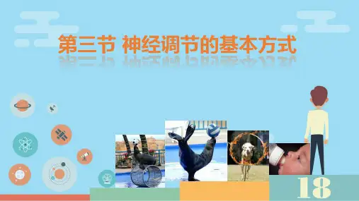 神经调节的基本方式ppt课件