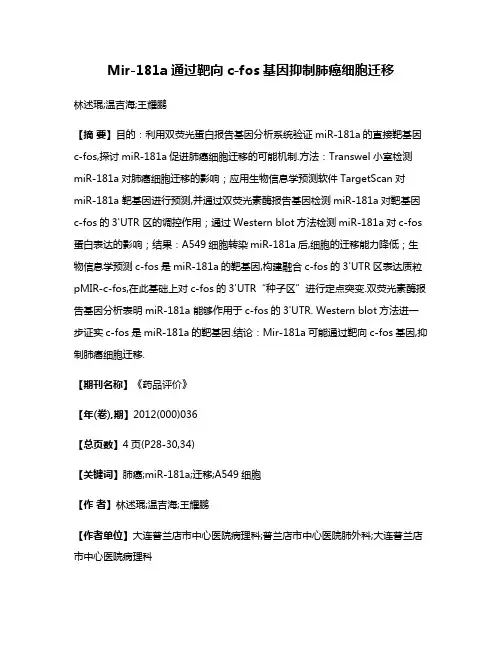 Mir-181a通过靶向c-fos基因抑制肺癌细胞迁移