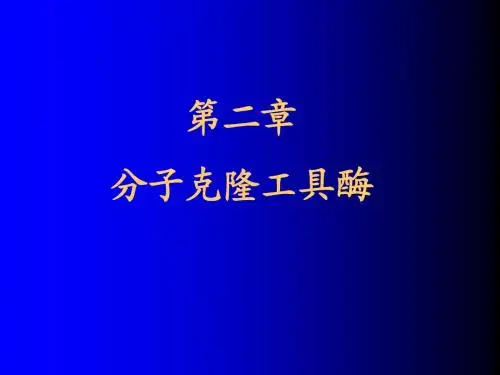 第二章 分子克隆工具酶3.8