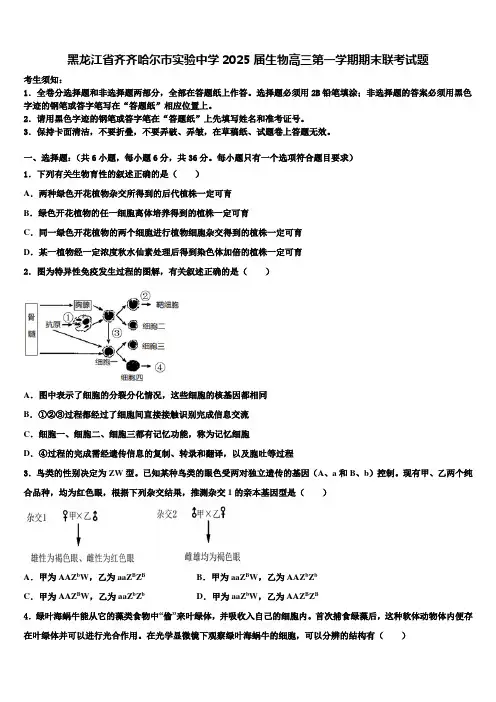 黑龙江省齐齐哈尔市实验中学2025届生物高三第一学期期末联考试题含解析
