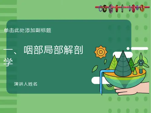 鼻咽部的CT解剖修改