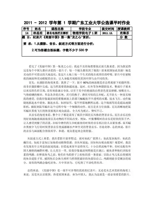美丽中国《龙之心》赏析