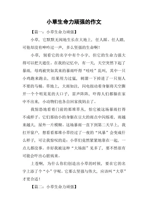 小草生命力顽强的作文