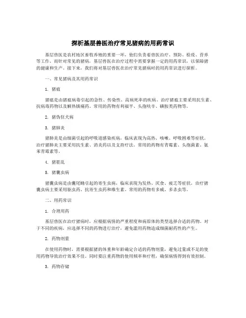 探析基层兽医治疗常见猪病的用药常识