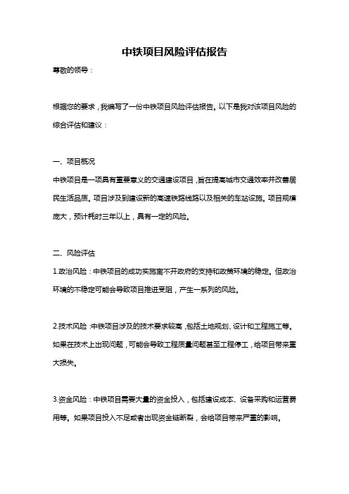 中铁项目风险评估报告