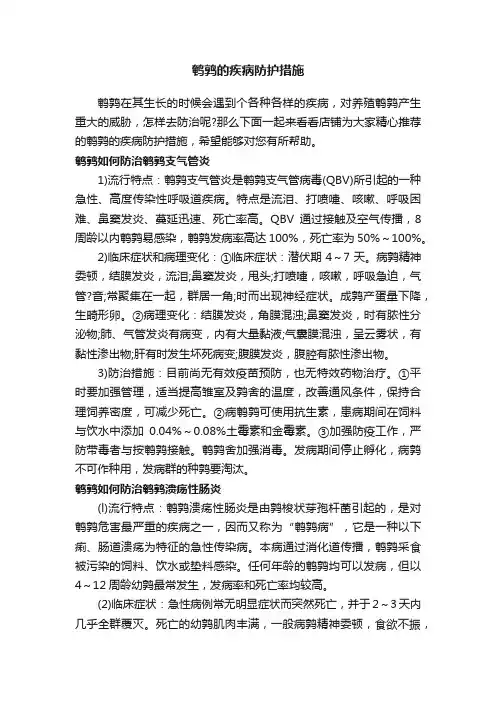 鹌鹑的疾病防护措施