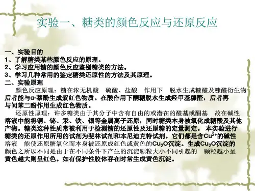 生物化学实验ppt-new全