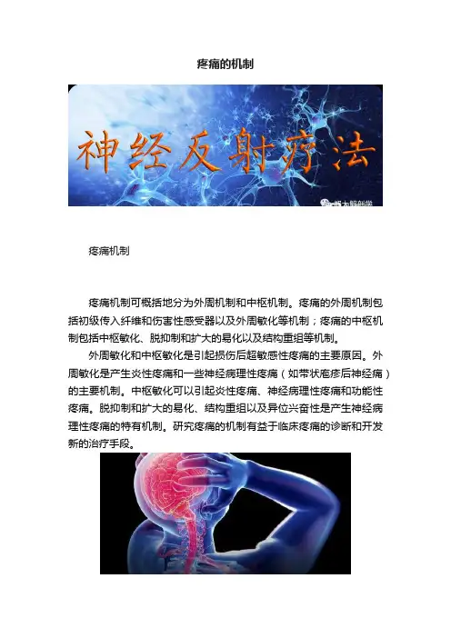 疼痛的机制