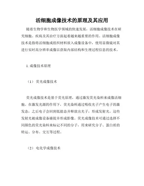活细胞成像技术的原理及其应用